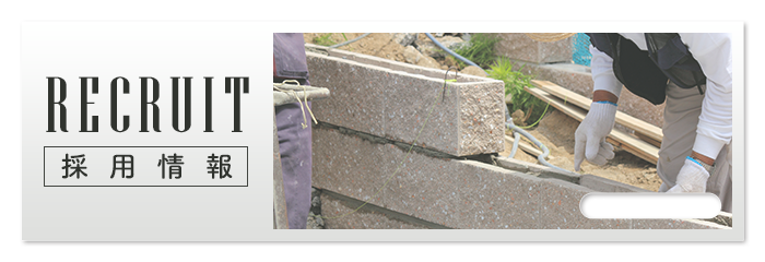 採用情報