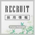 採用情報